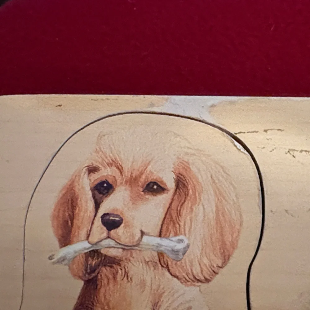 Colorful Wooden Pet Puzzle for Small Animals